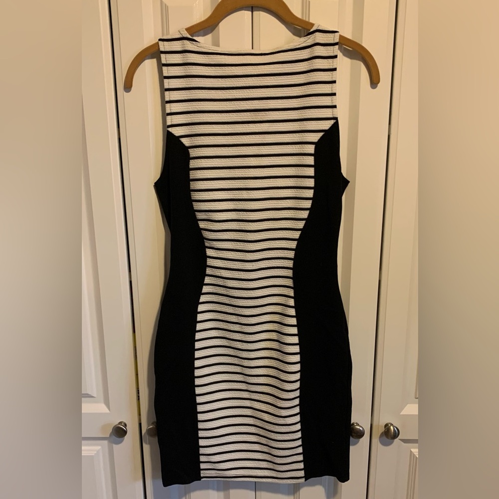 Windsor Black and White Striped Mini Dress
